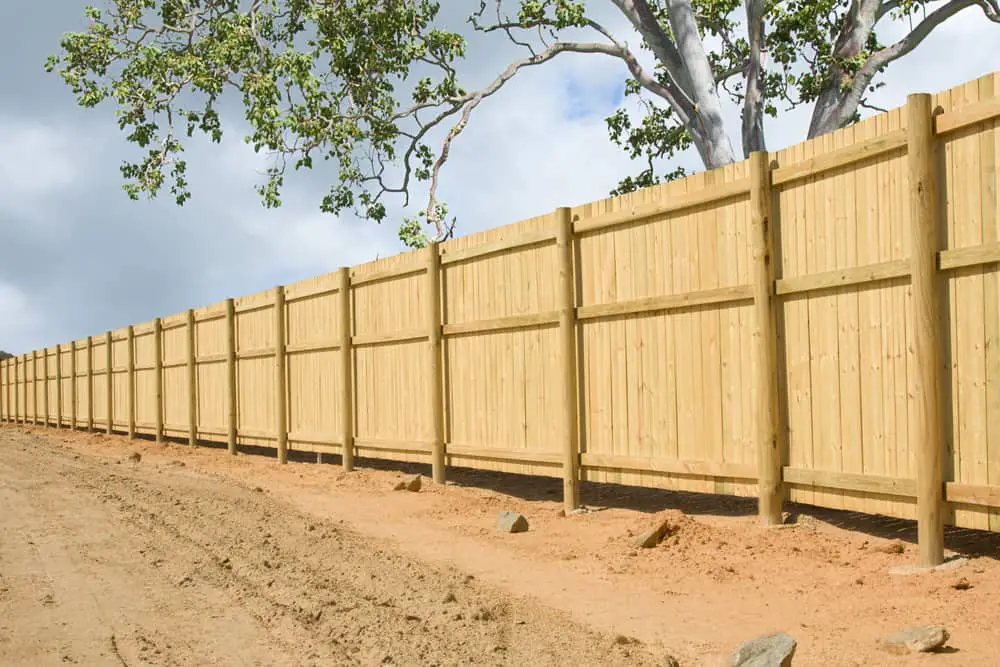 Can You Put A Privacy Fence In Your Front And Backyard?