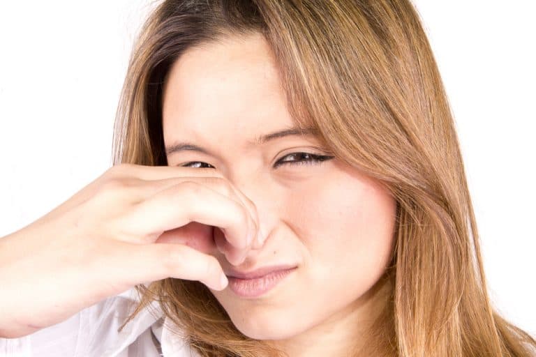 Why Does Your Bathroom Smell Like Fish? (Four Reasons!) Mobile Home