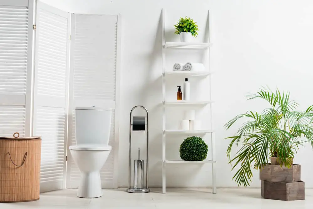 Should You Put Fake or Real Plants in The Bathroom?