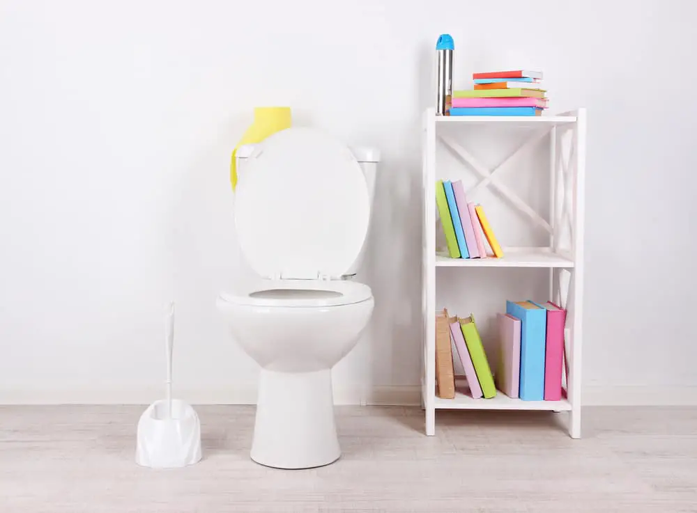 Should You Keep Books and Magazines in The Bathroom?