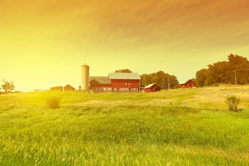 What Are The Pros And Cons Of Living Next To a Farm?