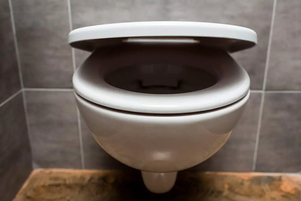 Is It Disrespectful To Leave The Toilet Seat Up?