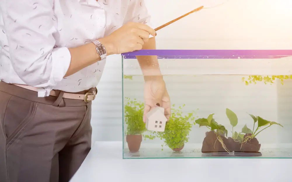 Can You Put Your Hand in A Fish Tank?