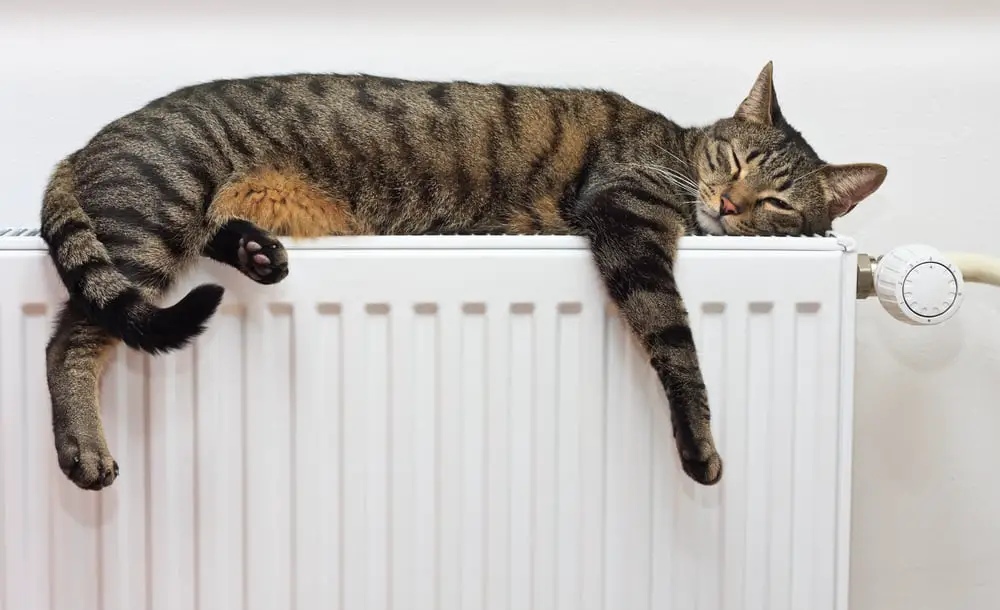Is It Safe To Leave A Radiator On Overnight And Unattended?