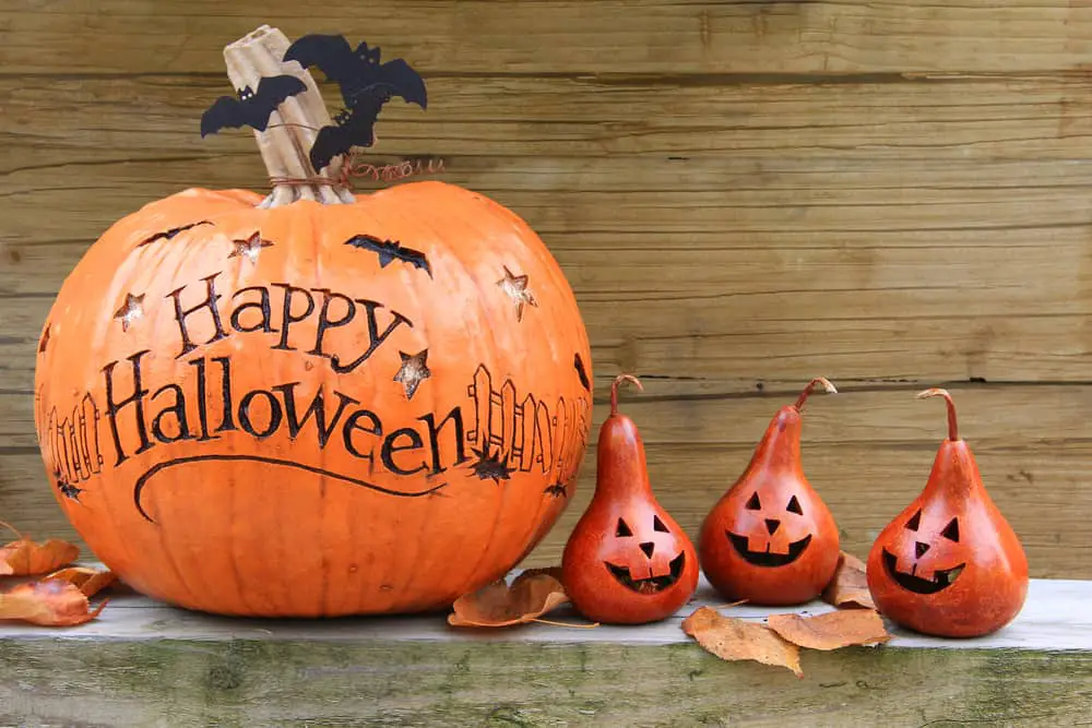 When Should Halloween Decorations Go Up and Come Down? 