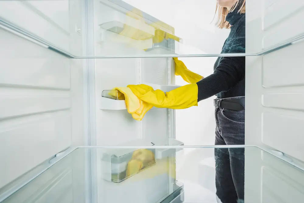 How Often Should You Clean Your Refrigerator