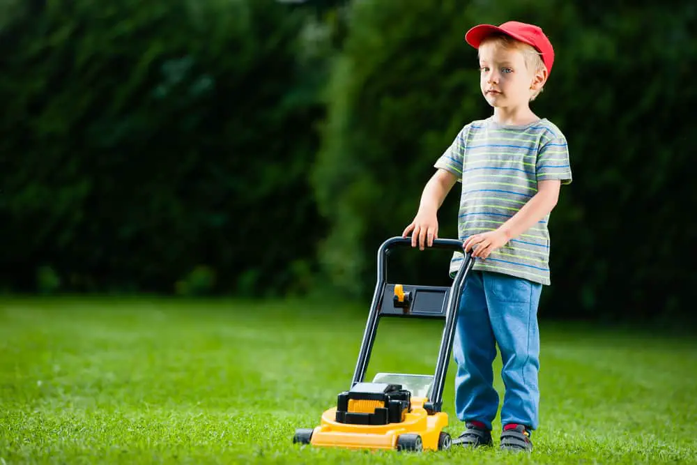 Is It Better To Have A Dual Or Single Blade Lawn Mower?