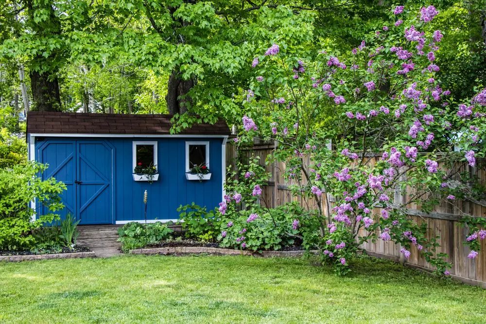 Can You Put A Storage Shed Under A Tree?