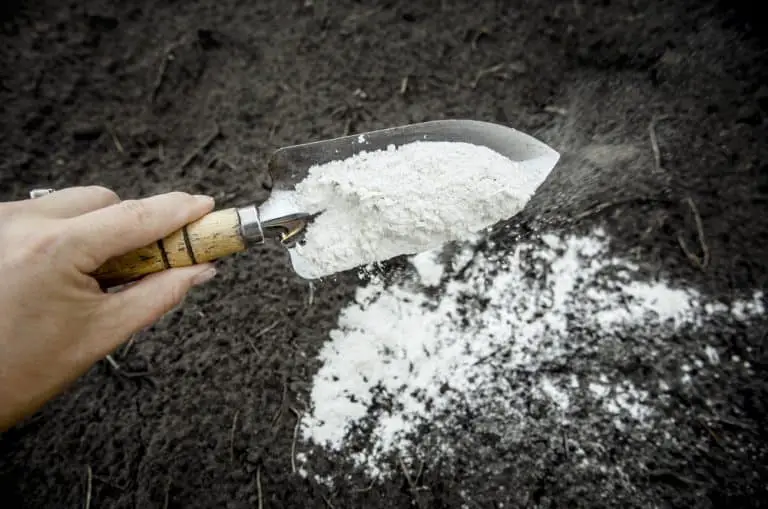 Should You Put Lime In A Wet Basement?