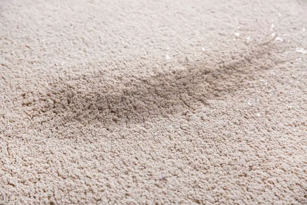 If you've ever walked across a damp and sticky carpet, you may wonder what could be causing this strange sensation. This can be a particularly puzzling problem if you haven't spilled anything on the carpet or if it hasn't been exposed to any water. So, Why Does The Carpet Feel Damp And Sticky? Well, there are many causes of dampness and stickiness on your carpet, ranging from a spill that wasn't properly cleaned up to a leak in the flooring underneath the carpet. In this article, we'll explore why your carpet might feel damp and sticky and what you can do to fix the problem. Five Possible Causes Of Dampness In Carpets If your carpets get damp, you should know what is causing the problem. Well, there are many causes of dampness on carpets, including: 1. Leaking Pipes Or Appliances If there are any pipes or appliances in the room with the damp carpet that are leaking, this could be causing the dampness. 2. Poor Ventilation If your room has poor ventilation, moisture from cooking, bathing, and washing clothes can build up and cause the carpet to become damp. 3. High Humidity High humidity in your room can also cause the carpet to feel damp. This can be caused by weather changes or from within the room. 4. Flooding If your room has been flooded, it could cause the carpet to become damp. In fact, flooding will automatically make your carpets wet and uncomfortable to step on. 5. Condensation If the carpet is in a room with a lot of condensation, such as a bathroom or basement, this could cause the carpet to become damp. Five Possible Causes Of Stickiness In Carpets Just like dampness, there are several possible causes of stickiness in carpets. Sticky carpets are equally uncomfortable to walk on. Here are five possible causes of this problem include: 1. Spilled Liquids If liquids are spilled on the carpet and not cleaned up promptly, they can cause the carpet fibers to become sticky. Similarly, if someone walks through a wet substance and then onto a carpet, the liquid can be transferred to the mat, causing it to become sticky. 2. Food Or Other Debris Small bits of food or other debris can get stuck in the fibers of a carpet, causing it to feel sticky. 3. Residue From Cleaning Products If your clean your carpet with a product that leaves a residue, it can cause the carpet to feel sticky. 4. Poorly Ventilated Room A poorly ventilated room can cause the carpet to feel sticky due to the accumulation of moisture in the air. 5. The Age Of Your Carpet Carpets age, just like everything else, and as they do so, their fibers can become worn and matted. This will cause them to feel sticky. Which Steps Can You Use To Identify The Cause Of Dampness And Stickiness In Carpets? The stickiness and dampness of your carpets are, without a doubt, a serious problem. Identifying the cause will help you mitigate measures to solve the issue at hand. There are a few steps you can take to determine the cause of dampness and stickiness in carpets: 1. Check For Visible Signs Of Moisture You need to look for any visible signs of moisture, such as water stains, mold, or mildew. This will help you determine the source of the dampness. 2. Assess The Room For Leaks Look for any leaks in the plumbing or roof that may be causing water to seep into the carpet. 3. Inspect The Humidity Levels As we mentioned, high humidity can cause carpets to feel damp and sticky. Consider using a hygrometer to measure the humidity levels and take steps to reduce the moisture. 4. Check For Cleaning Residue If you recently cleaned your carpets, it's possible that some cleaning solution or residue was left behind, which can cause the carpets to feel damp and sticky. 5. Consider The Weather If it's been particularly wet or humid outside, the dampness and stickiness in your carpets may be due to increased humidity in the air. 6. Examine The Carpet Padding If the carpet padding is wet or damaged, it could cause dampness and stickiness in your carpets. Six Steps To Address And Prevent Dampness And Stickiness In Carpets 1. Identify The Source Of The Dampness Or Stickiness It's important to identify the source of the problem so that you can take the appropriate steps to fix it. 2. Fix Any Leaks Or Spills If a leak or spill causes dampness or stickiness, it's important to fix it as soon as possible. This involves repairing a pipe or sealing a hole in the roof. 3. Check And Improve Your Room's Ventilation If high humidity is causing dampness or stickiness, improving ventilation in your home can help to reduce the humidity levels. This might involve opening windows, using a dehumidifier, or installing exhaust fans. 4. Remove The Affected Area Of The Carpet If the dampness or stickiness is localized to a specific area of the carpet, it may be necessary to remove and dispose of the affected portion. This will help prevent the problem from spreading and allow you to clean and dry the subfloor beneath the carpet. 5. Clean And Dry The Affected Area Once the affected area of the carpet has been removed, it's important to thoroughly clean and dry the subfloor beneath it. You can use a disinfectant cleaner to kill mold or bacteria and then allow the area to dry thoroughly. 6. Replace The Affected Area Of The Carpet As soon as you clean and dry the floor, you can replace the affected area of the carpet. If the carpet is heavily soiled or damaged, it may be necessary to replace it. In either case, it's important to ensure that the new carpet is properly installed and sealed to prevent future problems with dampness or stickiness. The Importance Of Proper Carpet Care The stickiness and dampness of carpets stem from poor carpet care routines. It is, therefore, important to execute proper care of your carpet. Here are a few reasons why this is important: 1. Cleanliness Carpets can collect dirt, dust, and other particles over time, which can impact the air quality in your home and contribute to allergies and respiratory issues. You should regularly clean and maintain your carpets to remove these contaminants and improve indoor air quality. 2. Longevity Proper care can help extend the life of your carpet by preventing damage and wear. This can save you money in the long run by avoiding the need to replace your carpet prematurely. 3. Appearance Proper care can help maintain the appearance of your carpet, keeping it looking clean and new. Conclusion Potential causes for a damp and sticky carpet include mold or mildew, plumbing leaks, and dirt and grime accumulation. Understanding the root cause of the problem is key to finding a solution and getting your carpet to feel dry and clean again.