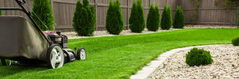 Beautiful Can The City Fine You For Not Cutting Your Grass Photo Illustration Beautiful Can The City Fine You For Not Cutting Your Grass Photo Illustration
