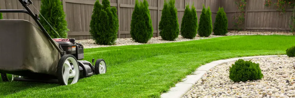 How Can You Stop Your Neighbor From Cutting Your Grass?