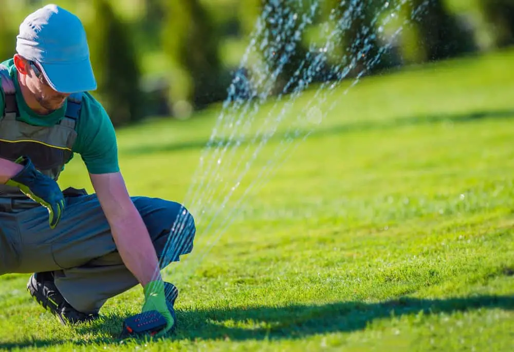 How Many Days A Week Should You Run the Sprinklers?