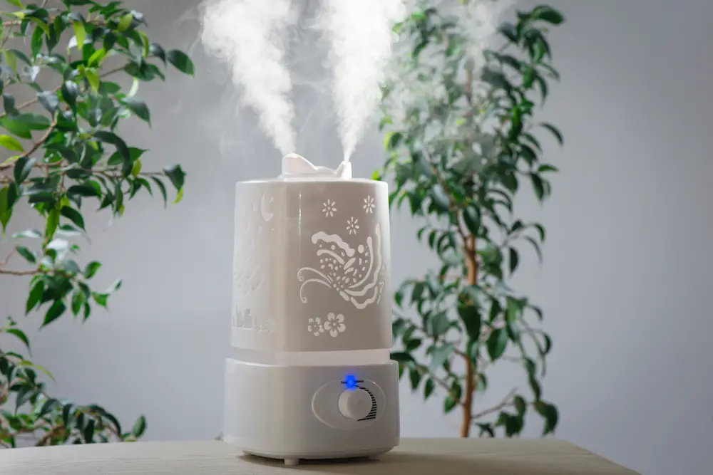 Can You Use a Fan and Humidifier at the Same Time?