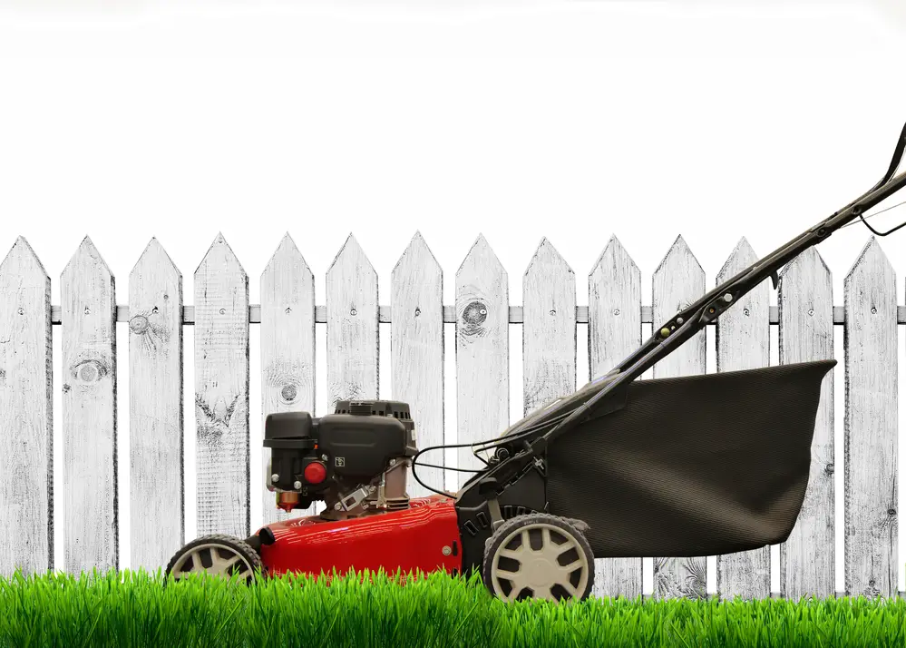 Can You Drive a Lawn Mower Over a Septic Tank?