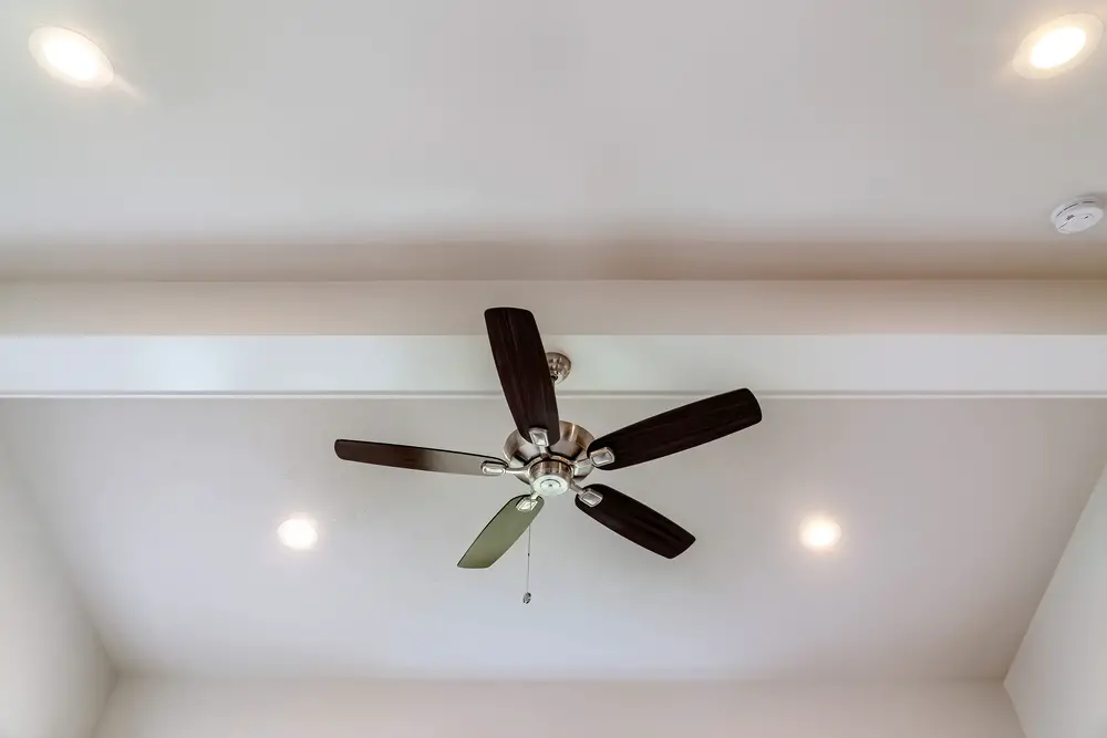 Why Does Your Ceiling Fan Have Black Dust?