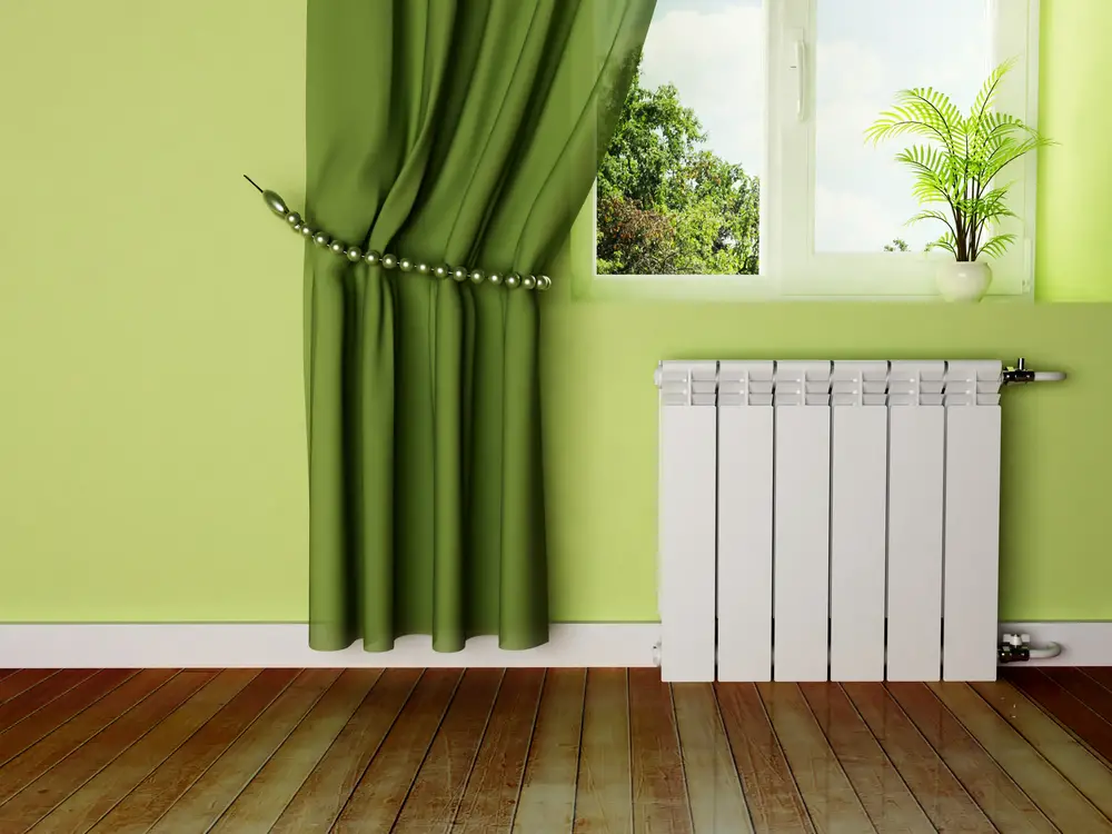 What Plants Can Live Near a Radiator?