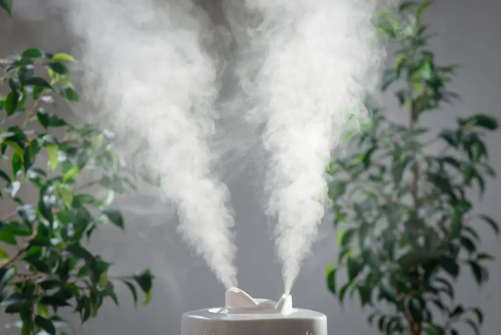 Can a Humidifier Set Off a Smoke Alarm?