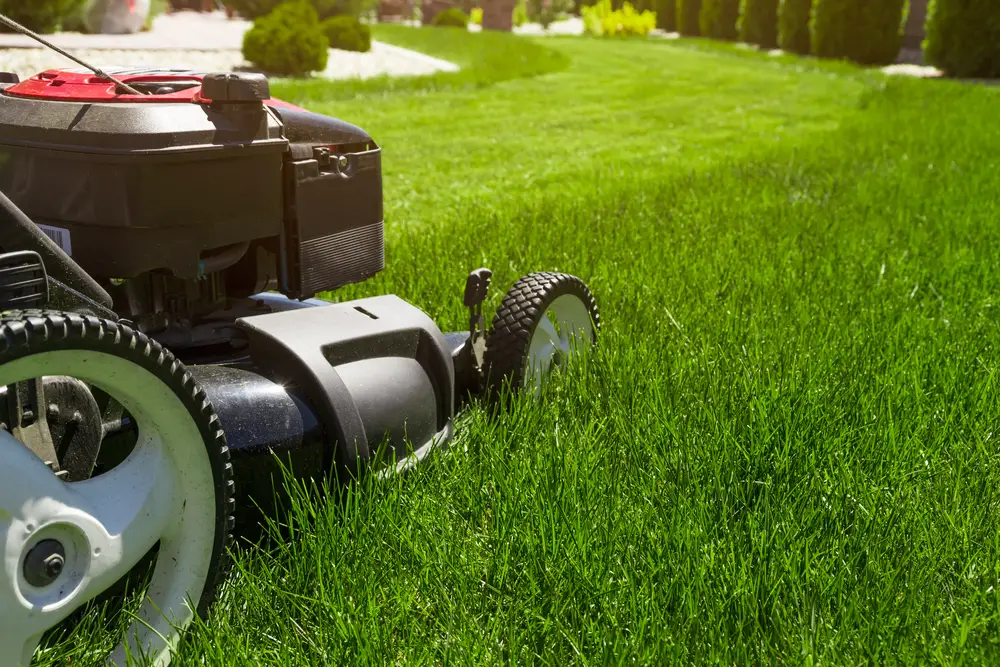 How Hot is Too Hot to Mow the Lawn?