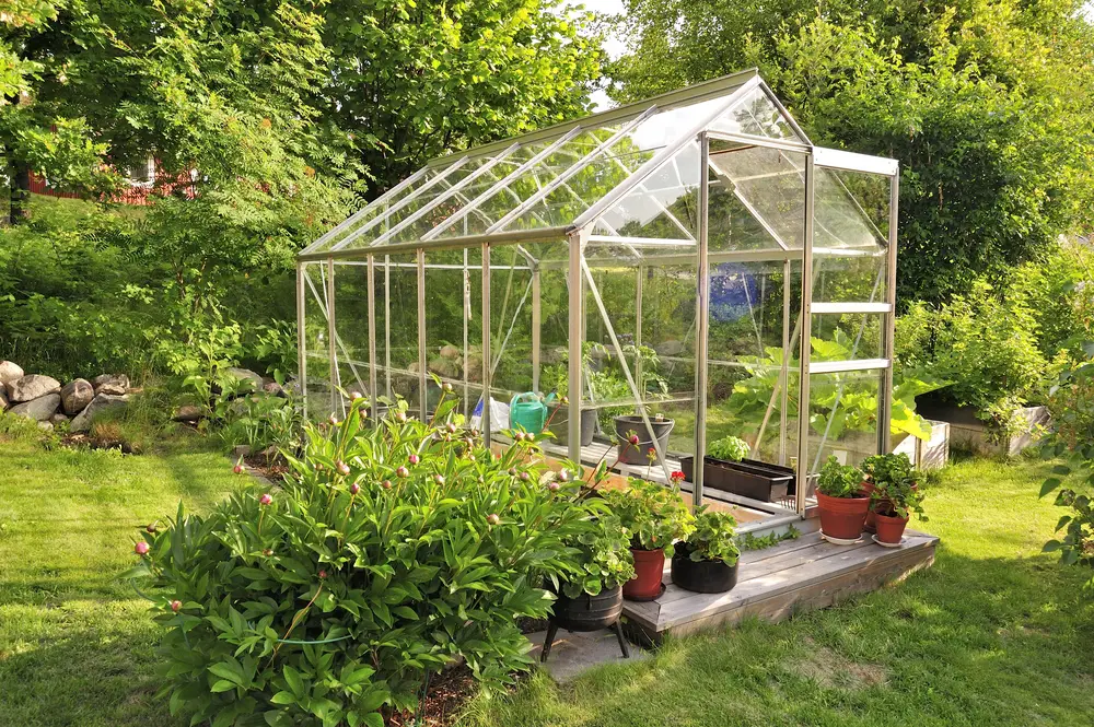 Why Does Your Greenhouse Smell Funny?