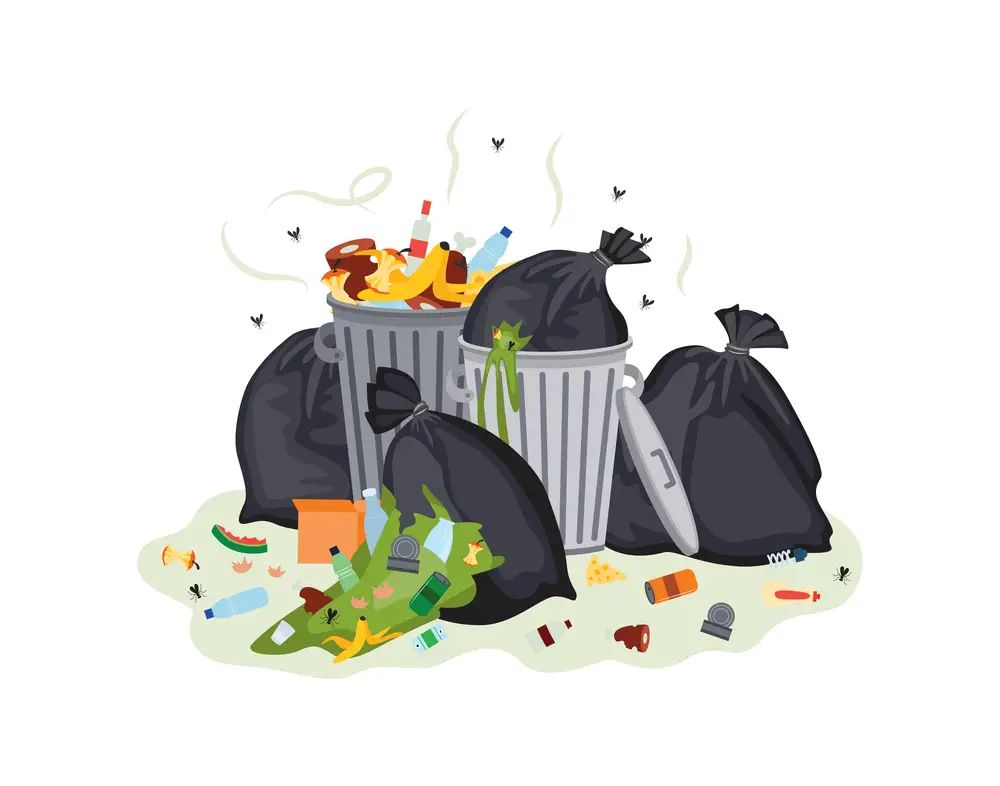 Why Do Your Garbage and Trash Cans Stink?