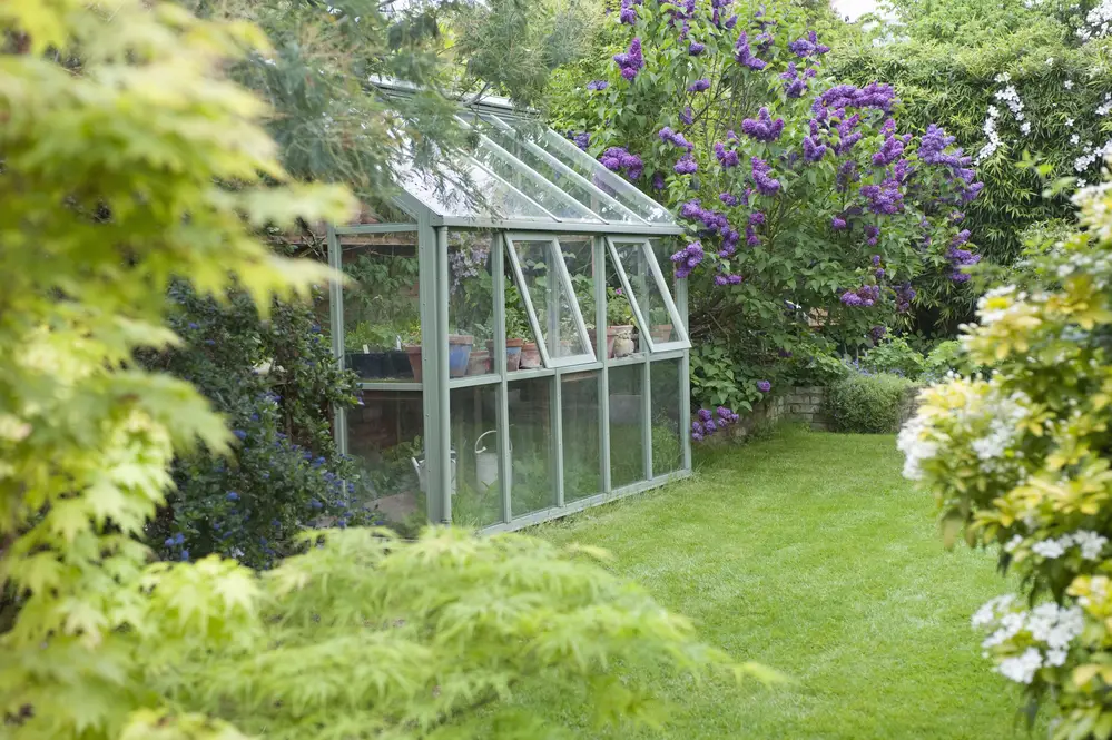 Can You Dry Clothes in a Greenhouse?