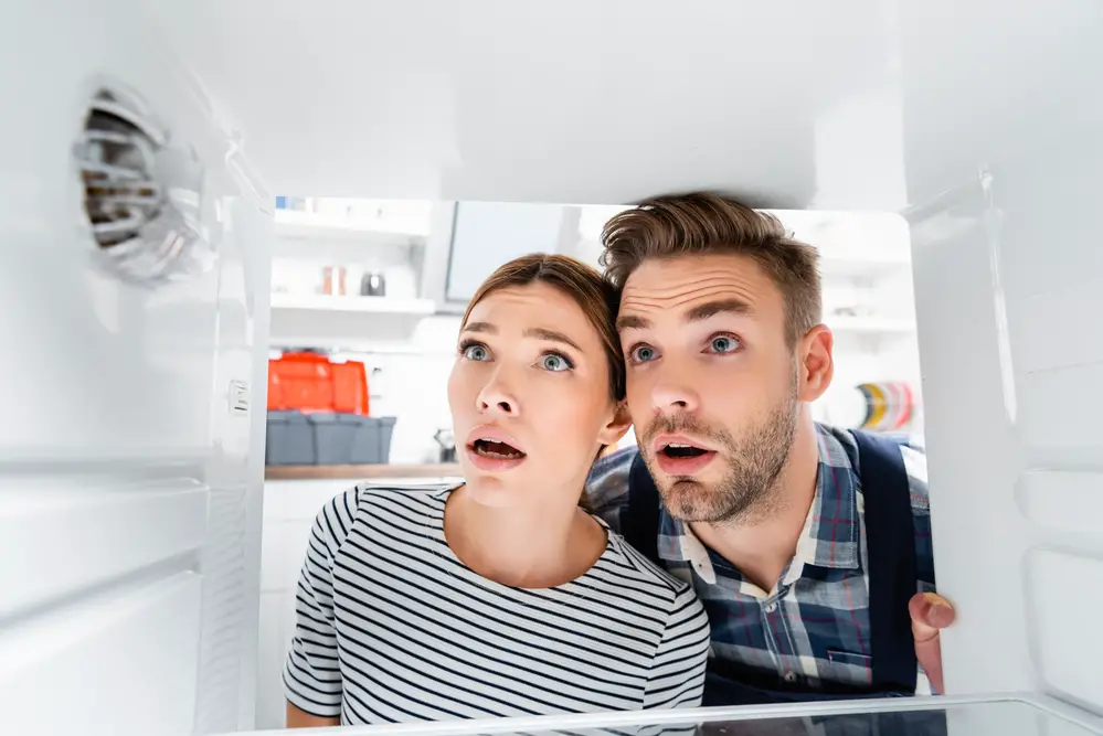 Why Does Your Freezer Smell So Bad?